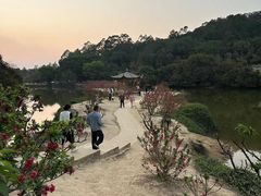 -南国桃园旅游度假区