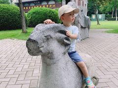 -泰州凤城河风景区-泰山公园