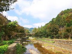 -四明山国家森林公园