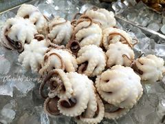 章鱼-铭聚章鱼土笋冻(松柏店)