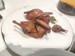 招牌乳鸽王-香雪海饭店中餐厅(人民桥店)
