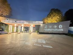 -成飞公园
