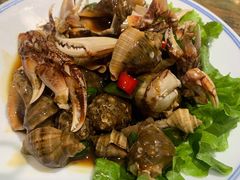 麻辣小海螺-赶海海鲜