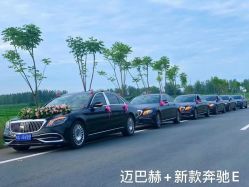 -蚂蚁婚车