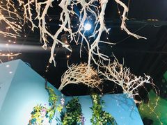 -上海外滩星空失恋减压馆(外滩旗舰馆)