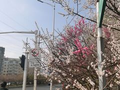 -黛秀湖公园