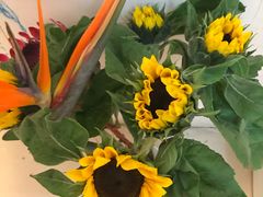 -双季花艺园艺市场(浦东店)