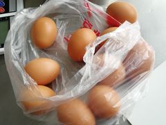 -上海申伦职业技能培训中心