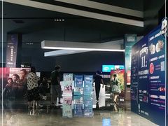 -奥斯卡升龙国际影城(RealD Cinema)