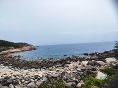 -广东惠东海龟国家级自然保护区