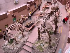 -陕西自然博物馆