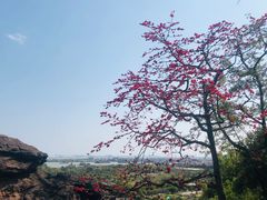 -广州莲花山旅游区