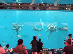 -瑞德姆美人鱼海底演艺主题餐厅(亚龙湾店)