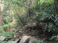 -素山寺森林公园