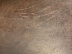-中农大我爱我爱24h动物医院·中医针灸·猫专科·骨科医疗中心(双井店)