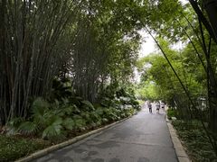 -晓港公园