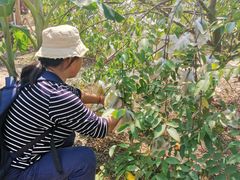 -迪茵湖田家舍生态农场