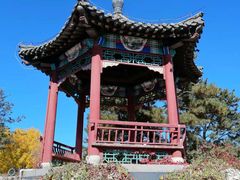 -大兴滨河森林公园