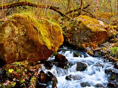 -叠溪松坪沟景区