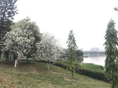 -海珠湖公园