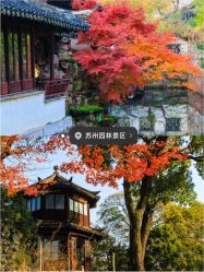 -八角古风摄影
