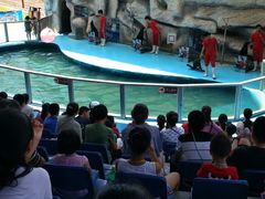 -泉州海丝野生动物世界