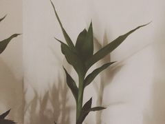 -椒小兔·盐帮川菜中餐厅(金沙时代广场店)