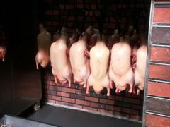 -同喜烤鸭店(光芒店)