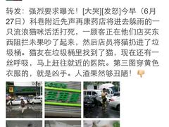 盛京一禾-盛京一禾