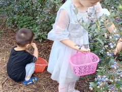 -金谷域澳洲庄园