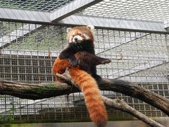 -青岛动物园