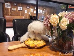 -百好乐宠物友好餐厅(朝外大街店)