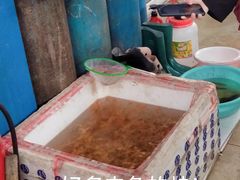 -山东柏宁水族批发广场