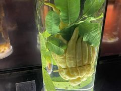 -广东中医药博物馆