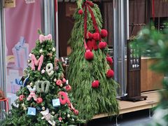 -深圳湾万象城(南山店)