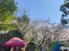 -南山植物园