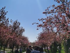 -南通洲际绿博园