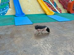 -深圳欢乐谷