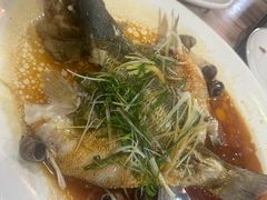 鲈鱼（）-东鸽皇(奥园·中环广场店)