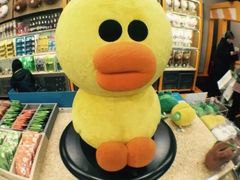 -line friends(明洞旗舰店)