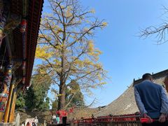 -金堂县云顶石城风景区