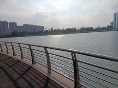 -映月湖中央公园