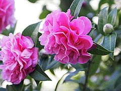 -天津东丽湖风景区