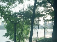 -长白岛森林公园