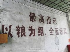 -枫泾古镇-人民公社旧址