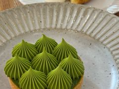 抹茶挞-猫里有甜