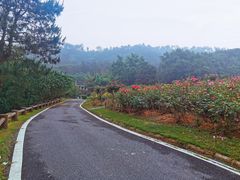 -黄陂区野村谷景区
