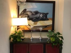 -咪咪比基尼脱毛专业店