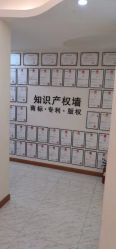 -骄阳兰多产后修复(徐东旗舰店)