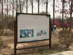 -燕郊植物园